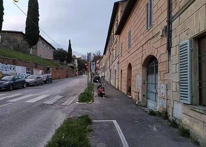 Piccolominidue Sienne